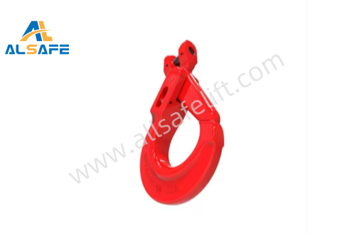 QQ20240512175024