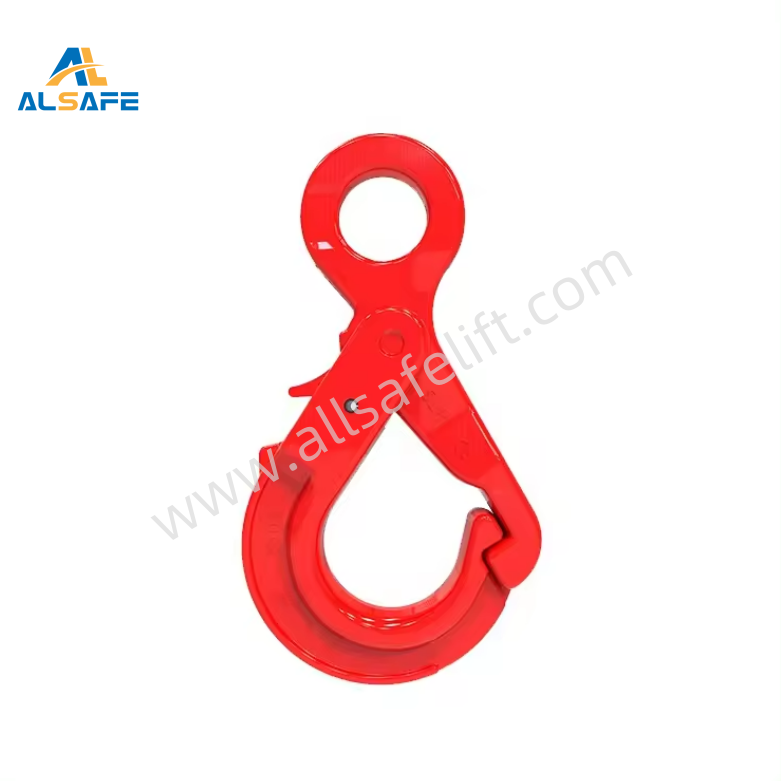QQ20240511081957