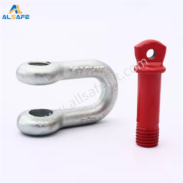 Us Type Shackle